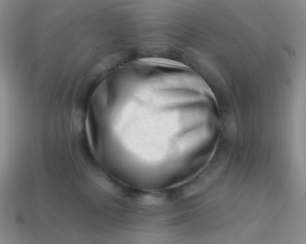 X0000113610232200910091548