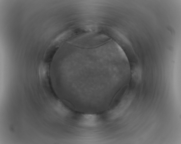 X0000113610233200910091548