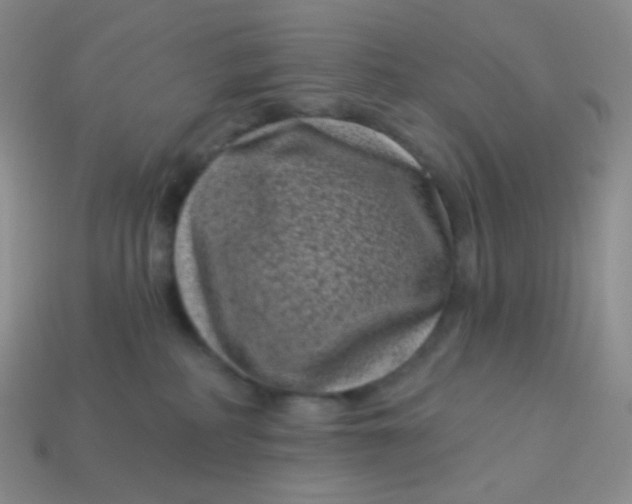 X0000113610234200910091548