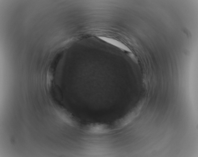 X0000113610235200910091548