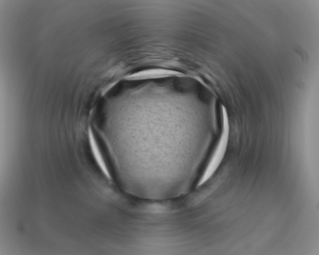 X0000113610236200910091548