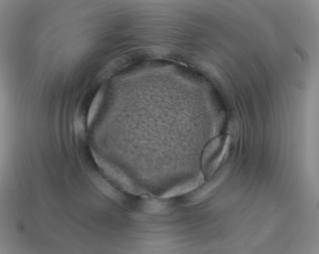 X0000113610238200910091548