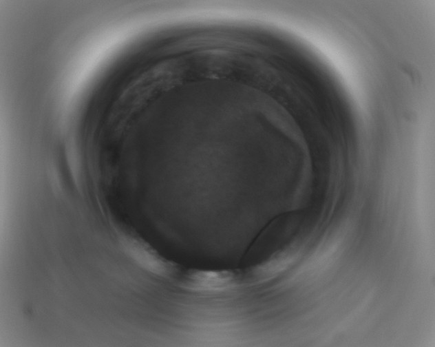 X0000113610239200910091548