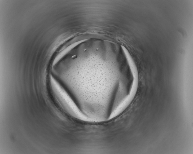 X0000113610242200910091547