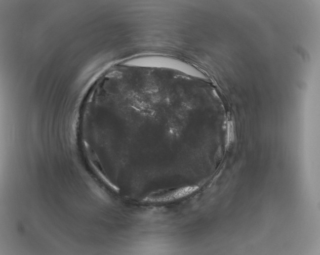 X0000113610243200910091547