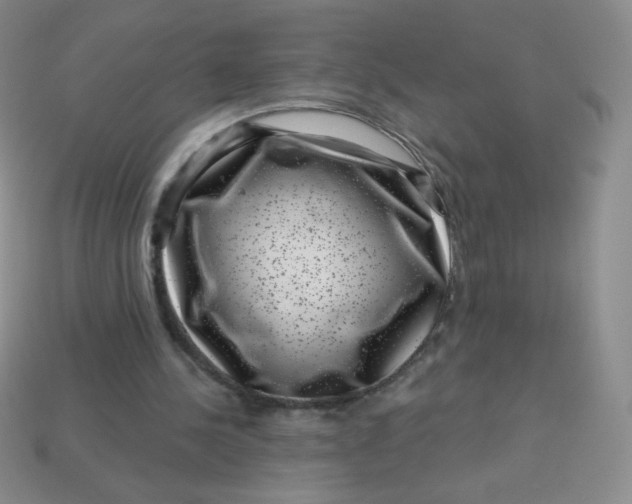 X0000113610244200910091547