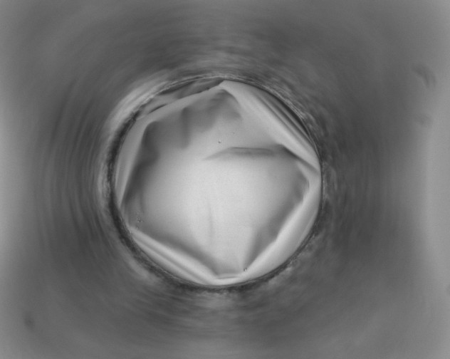 X0000113610245200910091547