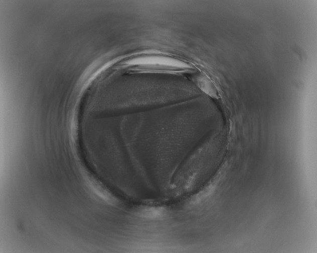 X0000113610247200910091547