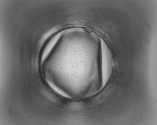 X0000113610248200910091547