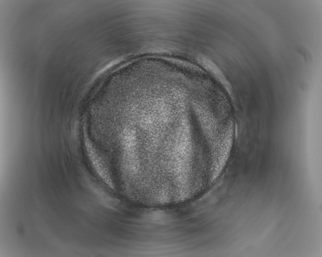 X0000113610249200910091547