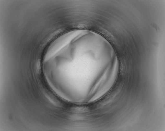 X0000113610251200910091547