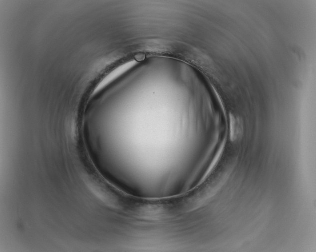 X0000113610252200910091547