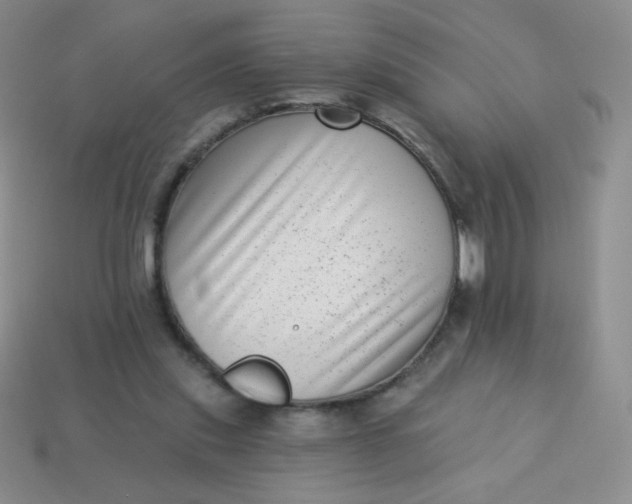 X0000113610253200910091547