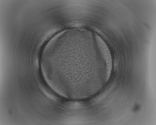 X0000113610254200910091547