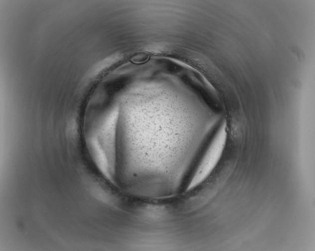 X0000113610256200910091547