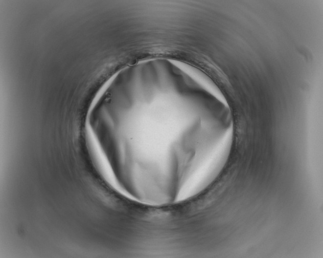 X0000113610257200910091547