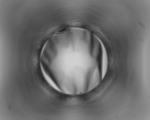 X0000113610259200910091547