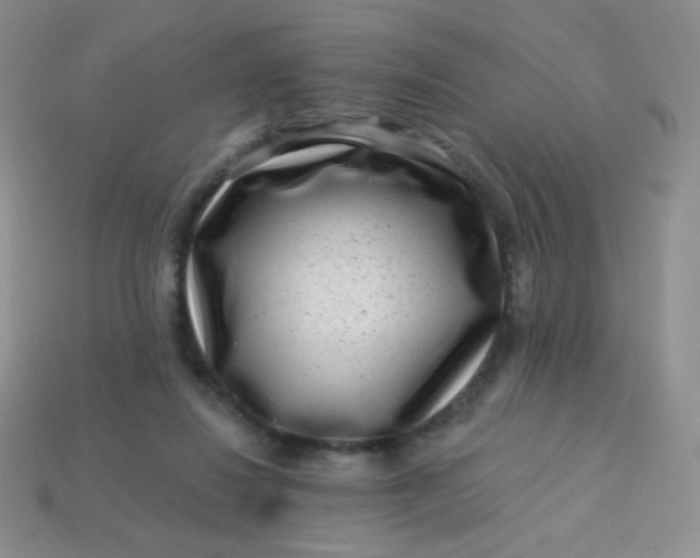 X0000113610260200910091547