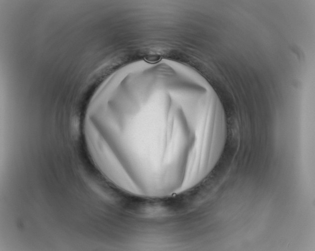 X0000113610262200910091547