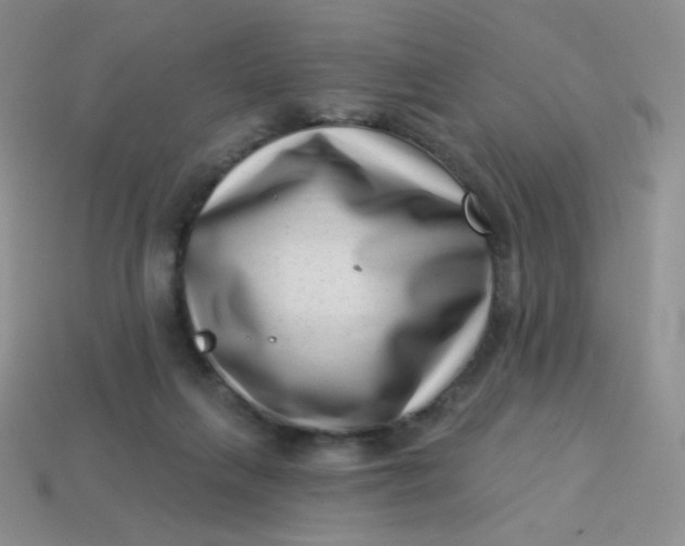 X0000113610263200910091547