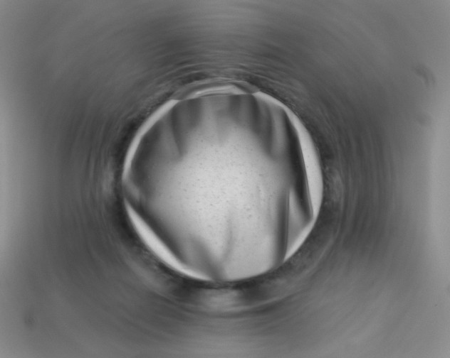 X0000113610266200910091547