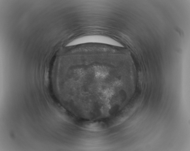 X0000113610267200910091547