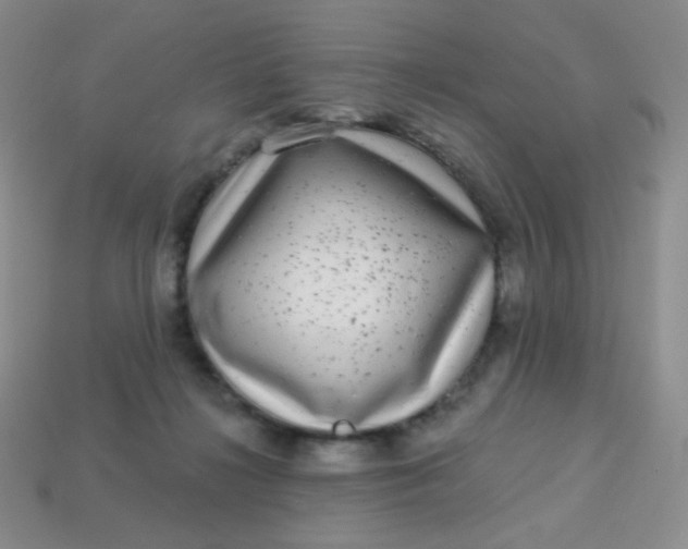 X0000113610268200910091547