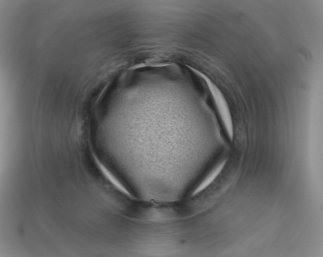 X0000113610270200910091548