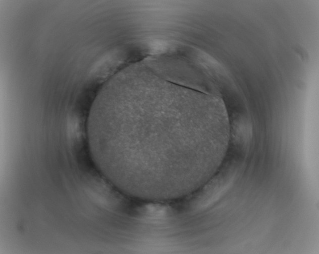 X0000113610272200910091548