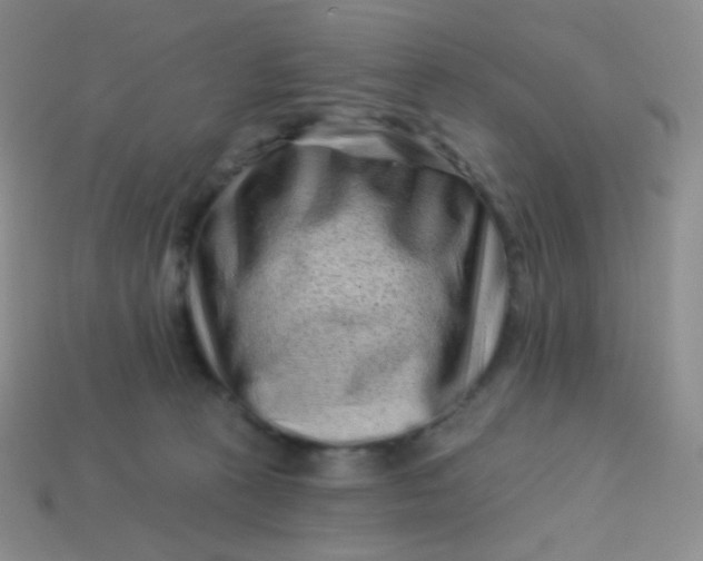 X0000113610273200910091548