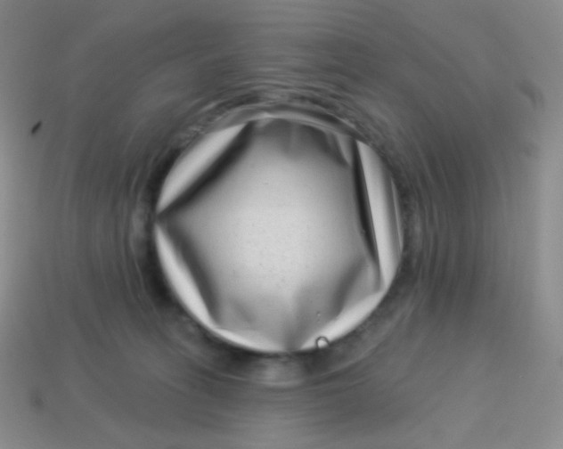 X0000113610275200910091548