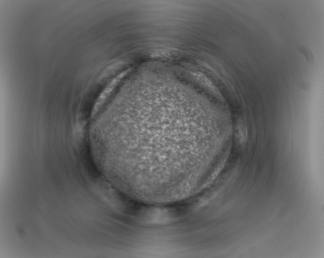 X0000113610276200910091548