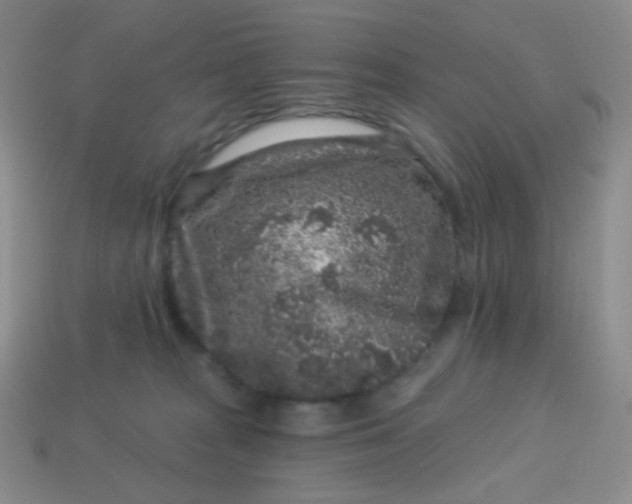 X0000113610277200910091548