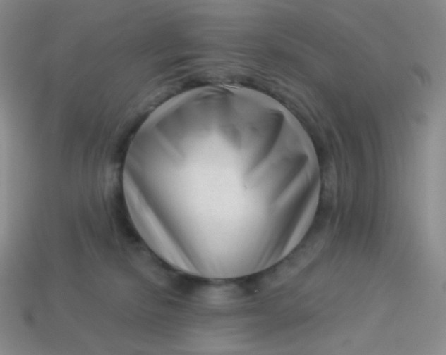 X0000113610278200910091548