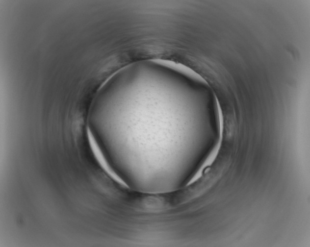 X0000113610279200910091548