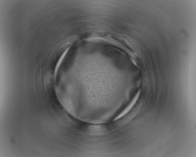 X0000113610281200910091548