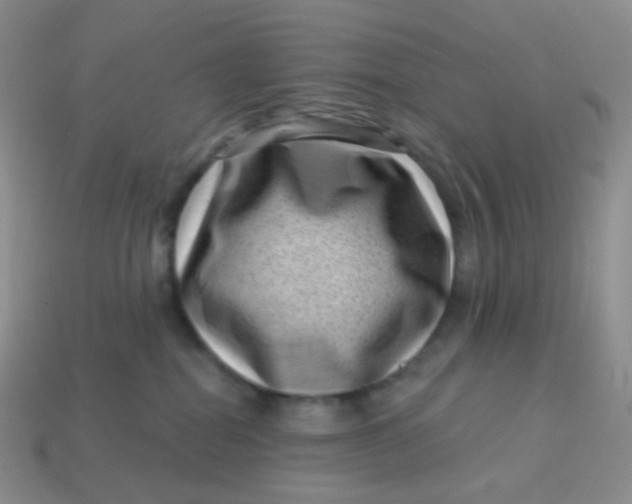 X0000113610282200910091548