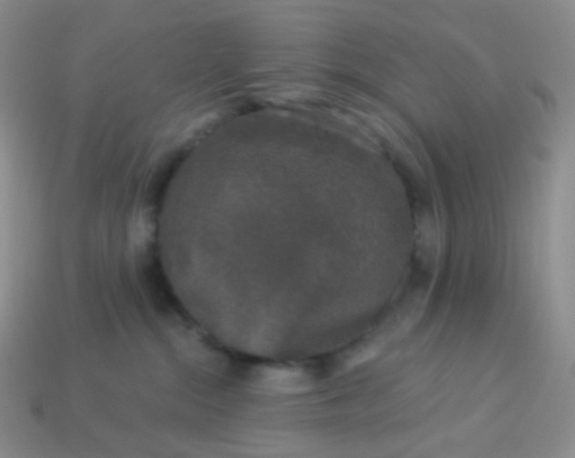 X0000113610284200910091548