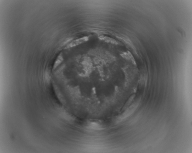 X0000113610285200910091548