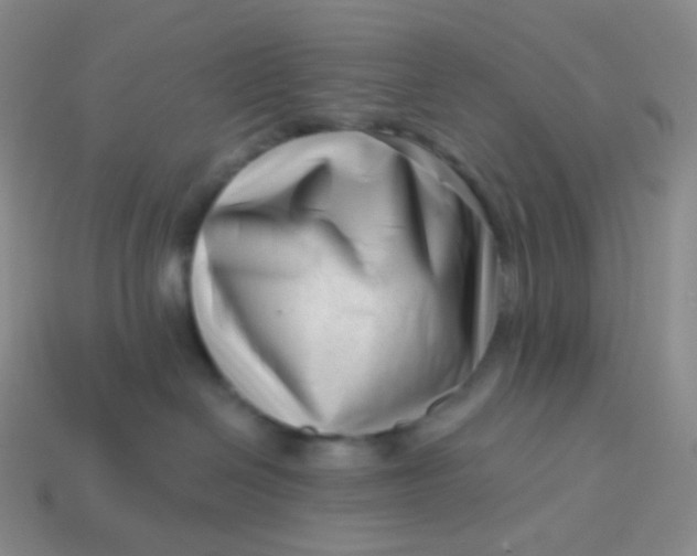 X0000113610286200910091548