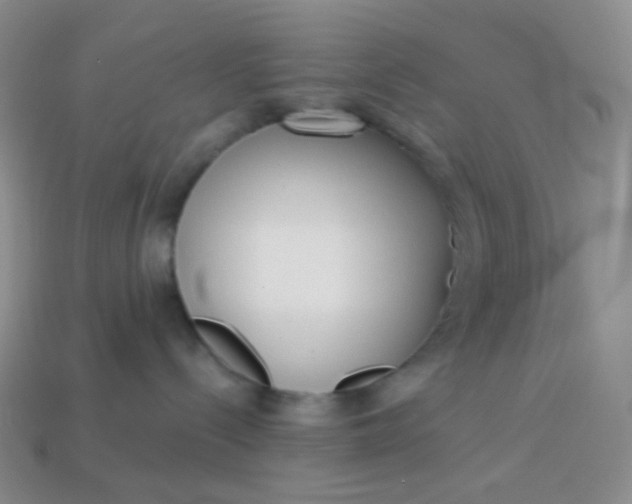 X0000113610288200910091548