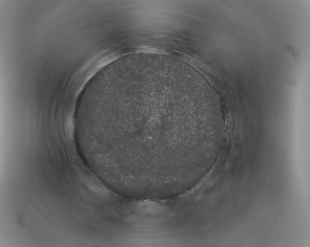 X0000113610290200910091547