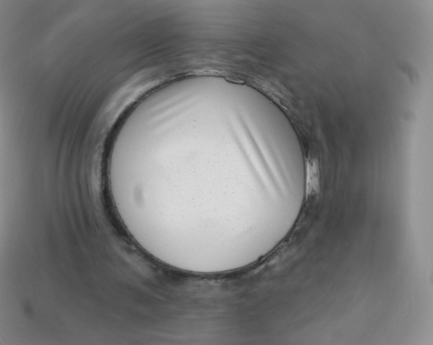 X0000113610291200910091547