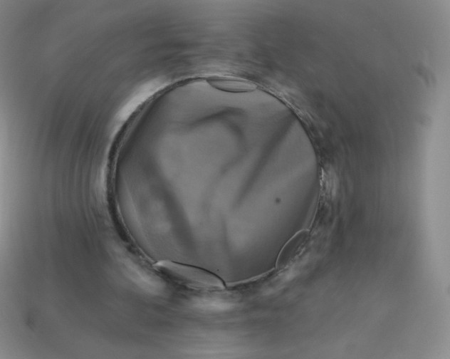 X0000113610292200910091547