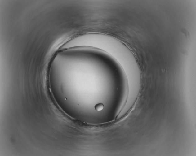 X0000113610293200910091547