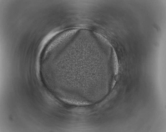 X0000113610294200910091547