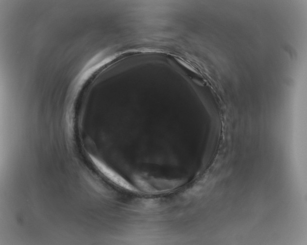 X0000113610295200910091547