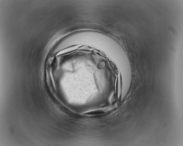 X0000113610296200910091547