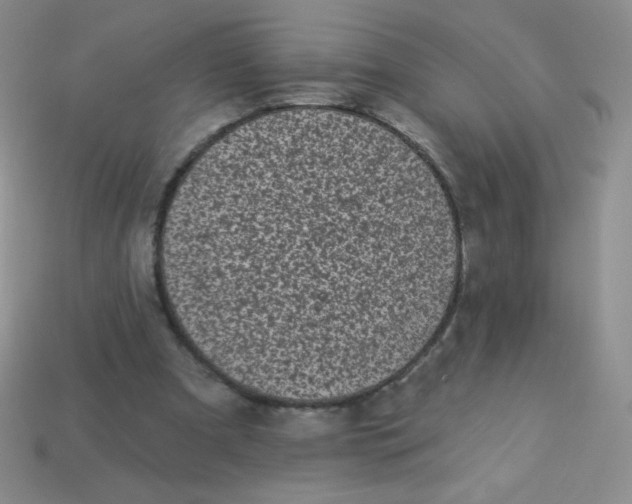 X0000113610297200910091547