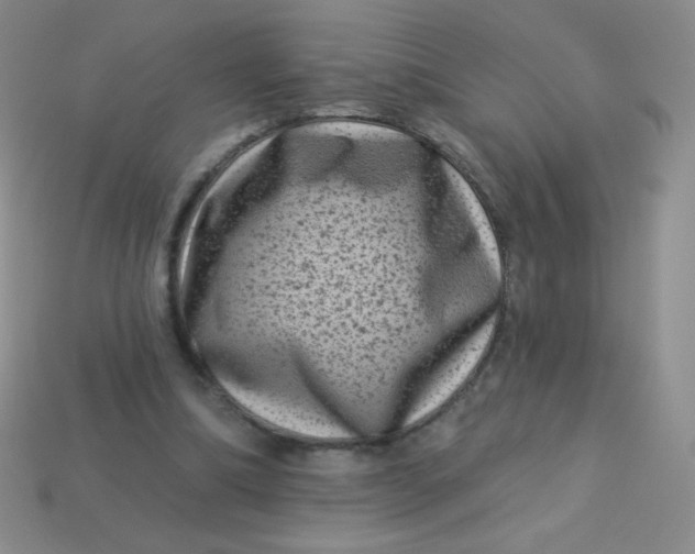 X0000113610298200910091547